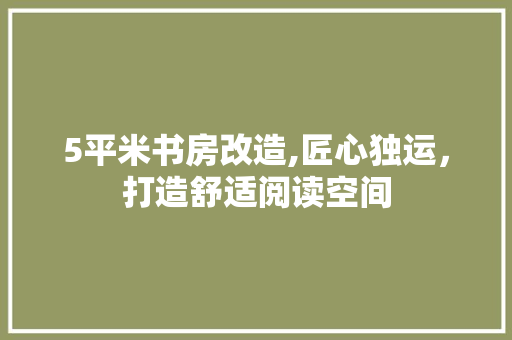 5平米书房改造,匠心独运，打造舒适阅读空间