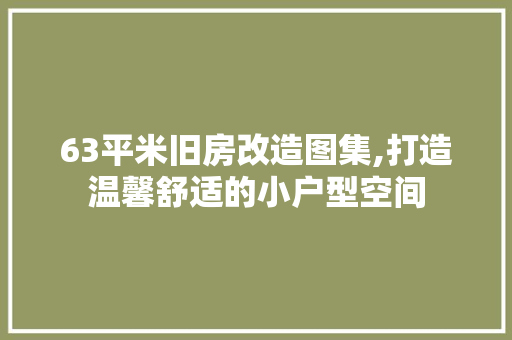 63平米旧房改造图集,打造温馨舒适的小户型空间