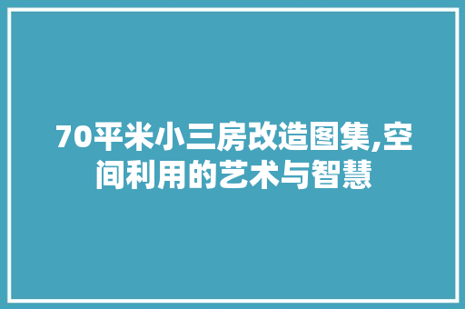 70平米小三房改造图集,空间利用的艺术与智慧