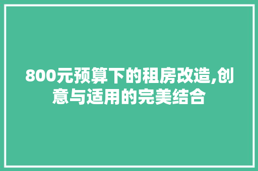 800元预算下的租房改造,创意与适用的完美结合