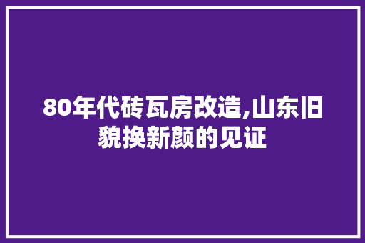 80年代砖瓦房改造,山东旧貌换新颜的见证