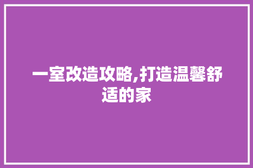 一室改造攻略,打造温馨舒适的家