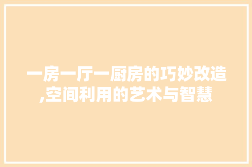 一房一厅一厨房的巧妙改造,空间利用的艺术与智慧，一室一厅厨房改卧室。