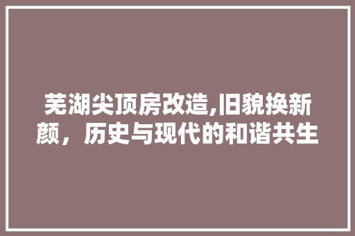 芜湖尖顶房改造,旧貌换新颜，历史与现代的和谐共生