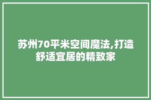 苏州70平米空间魔法,打造舒适宜居的精致家