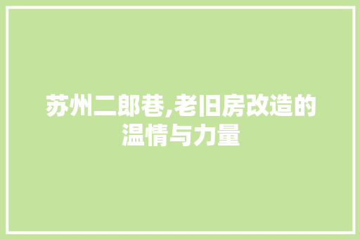 苏州二郎巷,老旧房改造的温情与力量