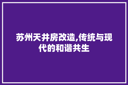 苏州天井房改造,传统与现代的和谐共生