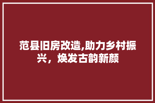 范县旧房改造,助力乡村振兴，焕发古韵新颜