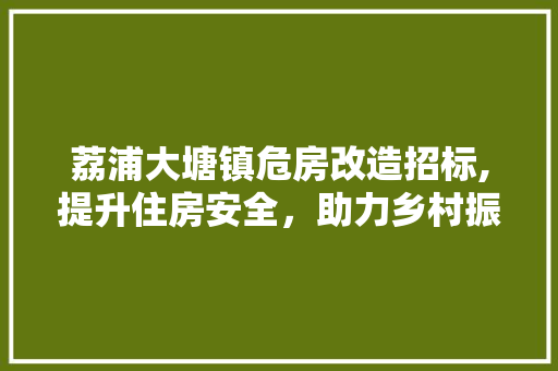 荔浦大塘镇危房改造招标,提升住房安全，助力乡村振兴