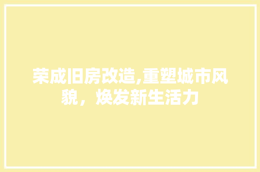 荣成旧房改造,重塑城市风貌，焕发新生活力