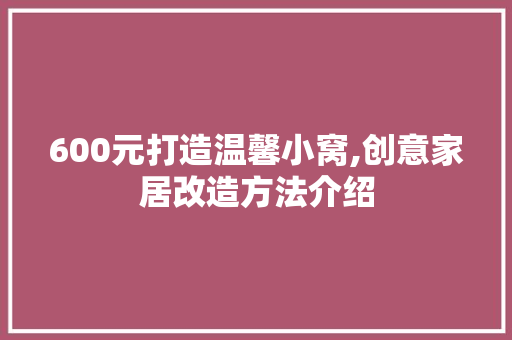 600元打造温馨小窝,创意家居改造方法介绍