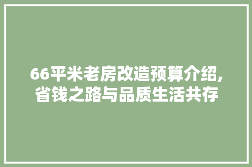 66平米老房改造预算介绍,省钱之路与品质生活共存，65平老房子改造。