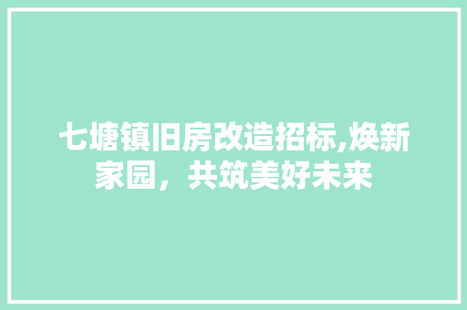 七塘镇旧房改造招标,焕新家园，共筑美好未来