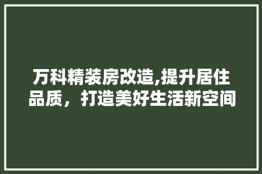 万科精装房改造,提升居住品质，打造美好生活新空间