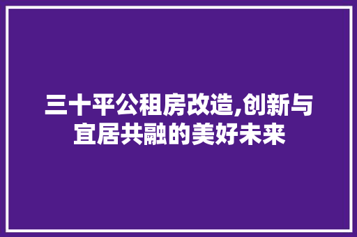 三十平公租房改造,创新与宜居共融的美好未来