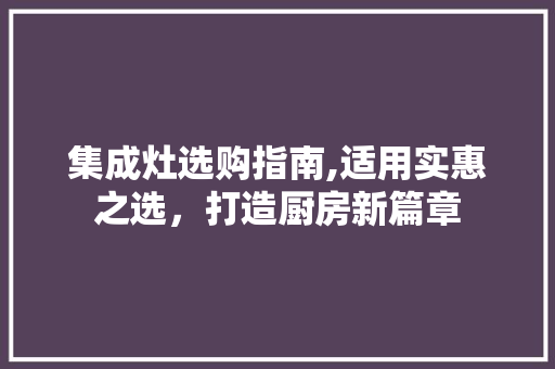 集成灶选购指南,适用实惠之选，打造厨房新篇章 集成灶选购指南,适用实惠之选，打造厨房新篇章 买房须知