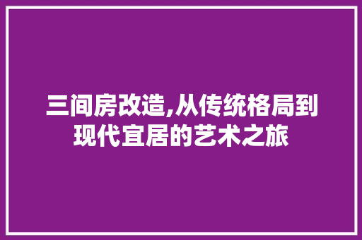 三间房改造,从传统格局到现代宜居的艺术之旅