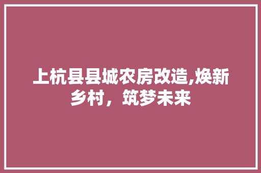 上杭县县城农房改造,焕新乡村，筑梦未来