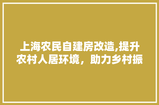 上海农民自建房改造,提升农村人居环境，助力乡村振兴