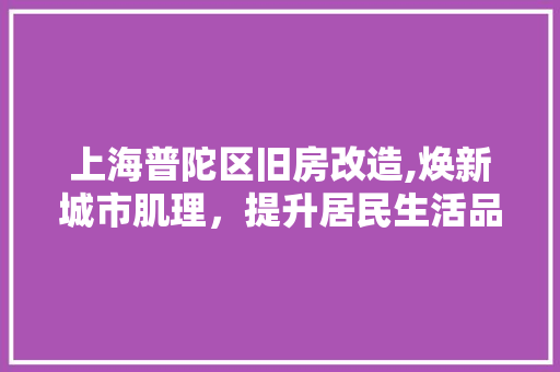 上海普陀区旧房改造,焕新城市肌理，提升居民生活品质