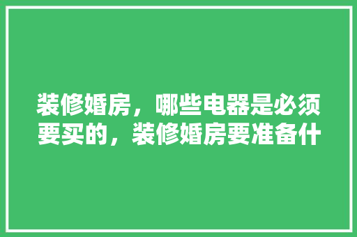 装修婚房，哪些电器是必须要买的，装修婚房要准备什么东西。 装修婚房，哪些电器是必须要买的，装修婚房要准备什么东西。 买房须知