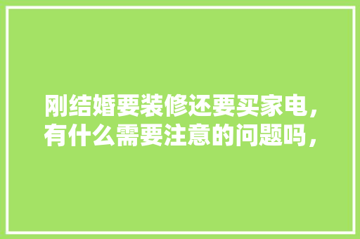 刚结婚要装修还要买家电，有什么需要注意的问题吗，装修最先准备什么东西好呢。 刚结婚要装修还要买家电，有什么需要注意的问题吗，装修最先准备什么东西好呢。 家居设计