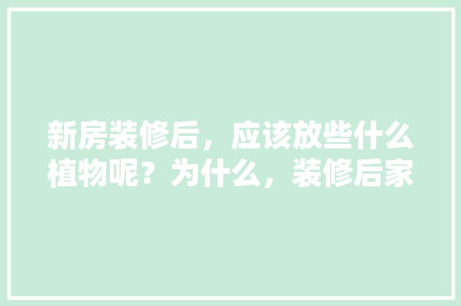 新房装修后，应该放些什么植物呢？为什么，装修后家具需要准备什么东西。 新房装修后，应该放些什么植物呢？为什么，装修后家具需要准备什么东西。 二手房