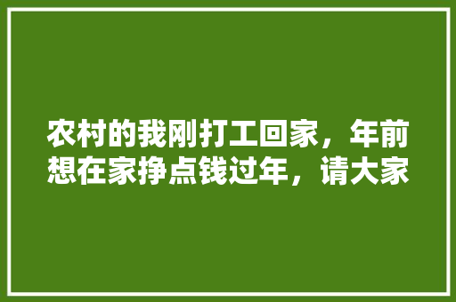 农村的我刚打工回家，年前想在家挣点钱过年，请大家帮忙指点干什么好，年前装修准备什么工作好做。 农村的我刚打工回家，年前想在家挣点钱过年，请大家帮忙指点干什么好，年前装修准备什么工作好做。 二手房