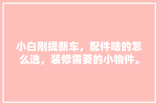 小白刚提新车，配件啥的怎么选，装修需要的小物件。 小白刚提新车，配件啥的怎么选，装修需要的小物件。 买房须知