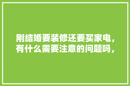 刚结婚要装修还要买家电，有什么需要注意的问题吗，装修家电准备什么东西好呢。 刚结婚要装修还要买家电，有什么需要注意的问题吗，装修家电准备什么东西好呢。 家居装饰