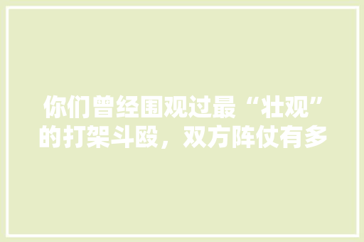 你们曾经围观过最“壮观”的打架斗殴，双方阵仗有多大，文登装修开工准备什么材料。 你们曾经围观过最“壮观”的打架斗殴，双方阵仗有多大，文登装修开工准备什么材料。 家居装饰