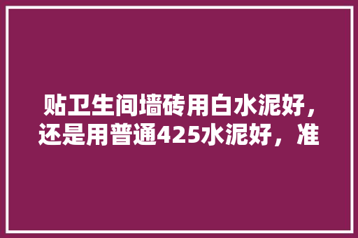 贴卫生间墙砖用白水泥好，还是用普通425水泥好，准备装修用什么水泥最好呢。 贴卫生间墙砖用白水泥好，还是用普通425水泥好，准备装修用什么水泥最好呢。 二手房