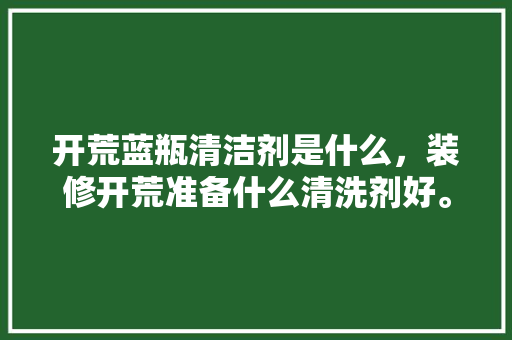 开荒蓝瓶清洁剂是什么，装修开荒准备什么清洗剂好。 开荒蓝瓶清洁剂是什么，装修开荒准备什么清洗剂好。 家居设计