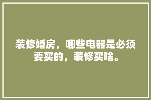 装修婚房，哪些电器是必须要买的，装修买啥。 装修婚房，哪些电器是必须要买的，装修买啥。 家居装饰