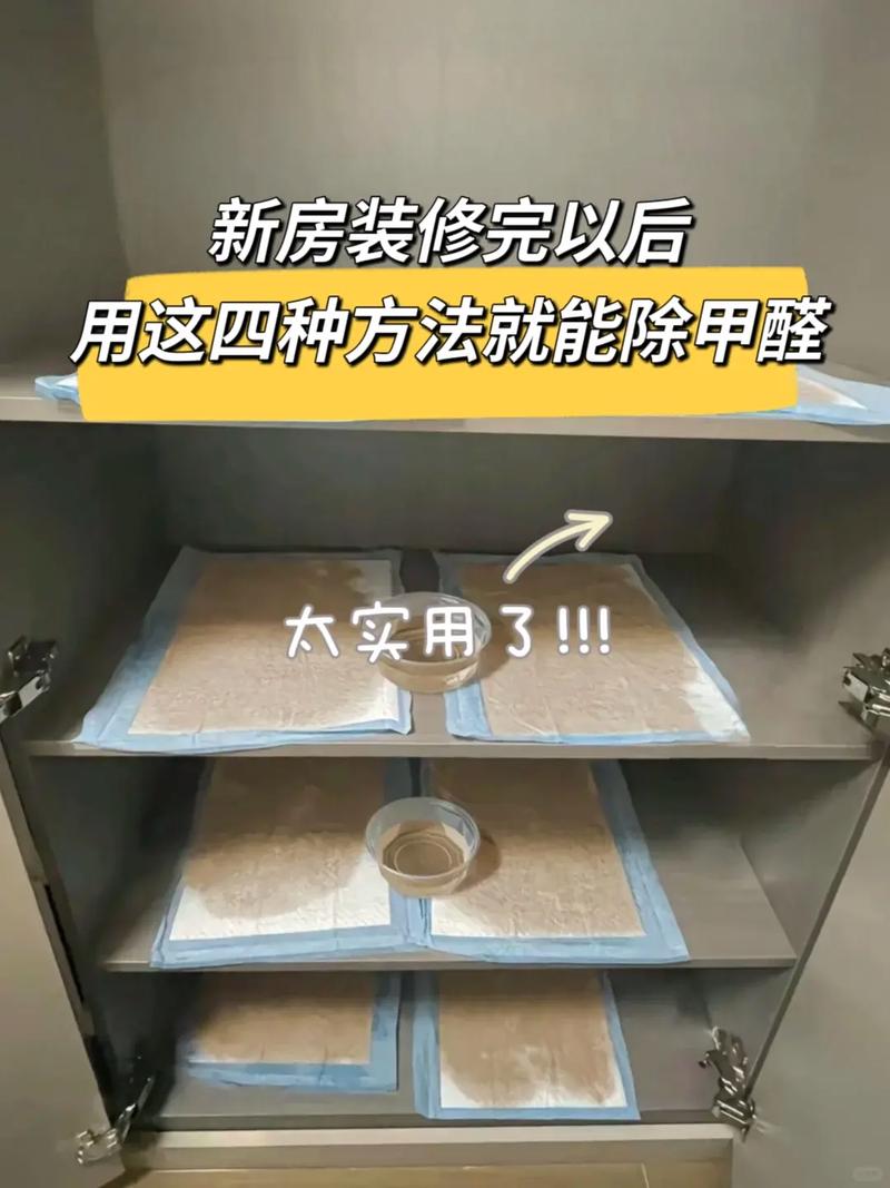 大家装修完毕后,都会为家里添哪些装备?为什么,包装修公司装修应该准备什么东西。 家居设计 大家装修完毕后,都会为家里添哪些装备?为什么,包装修公司装修应该准备什么东西。 大家装修完毕后,都会为家里添哪些装备?为什么,包装修公司装修应该准备什么东西。 家居设计